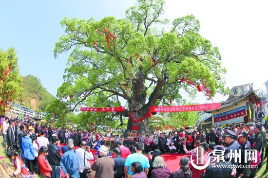 祭樟王
