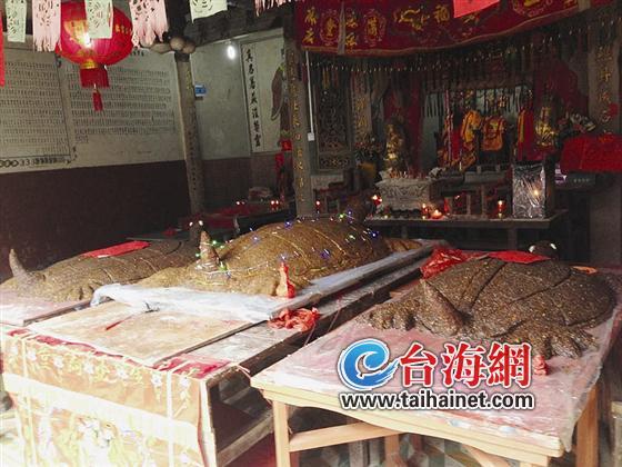 纪念保生大帝诞生1035年