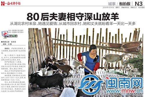 80 后夫妻相守深山放羊