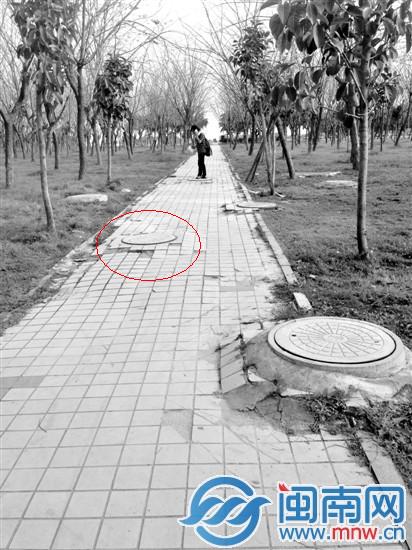画圈处就是叶小姐跌落的窨井