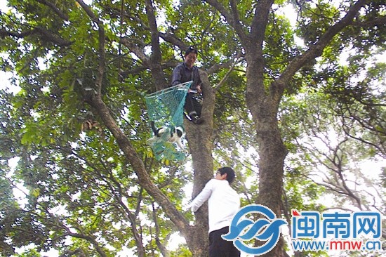 谁家母猫有奶水