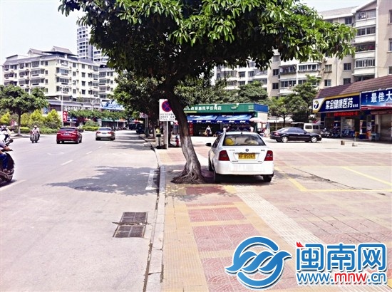 旁边就有画线的车位，教练车却偏偏停在人行道上