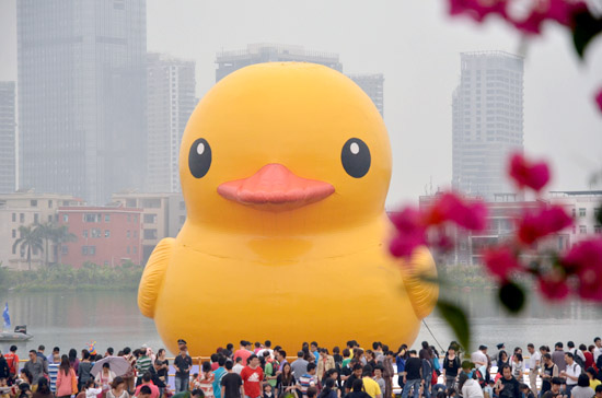 “赏鸭”市民络绎不绝