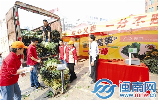 天虹商场昨日义卖莴笋，新鲜又便宜，许多市民纷纷购买