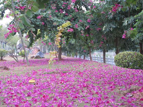 漳州师院即闽南师范大学9