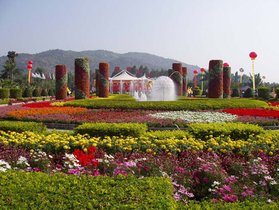 花博园