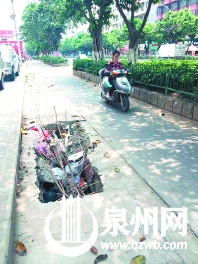 热心市民在豁口插上树枝提醒路人