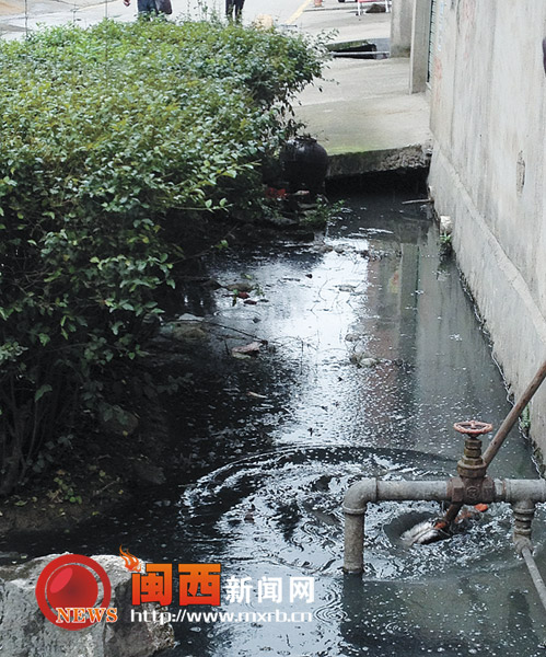 新罗石埠村：排水沟成死水沟