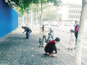 市民开心捡桑葚