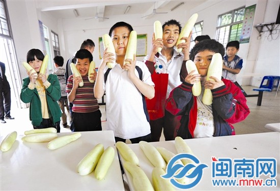 孩子们拿到黄瓜很开心