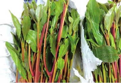 阿拉伯茶