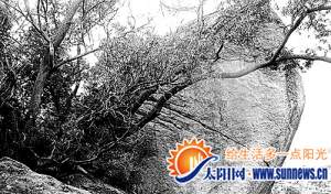 鸿山公园双忠魂独立岩石