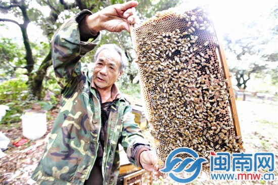艰苦的甜蜜 1