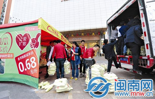 海都今早义卖6000斤爱心黄瓜