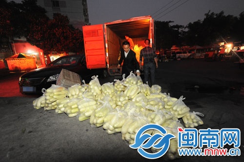 清晨6点多，美泉农业董事长林镇泉就将黄瓜送到东美 