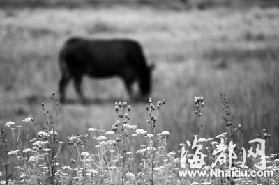福州市区昨现今年来最大暴雨
