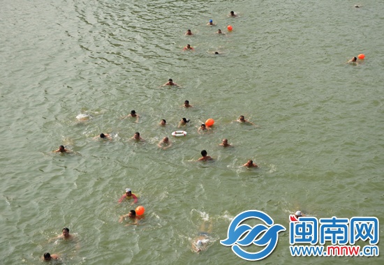 游泳爱好者在晋江畅游