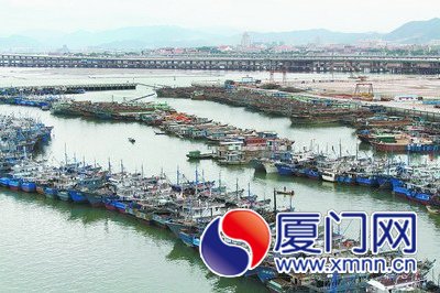 厦门市上千艘渔船伏季休渔期间靠泊休整
