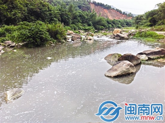 污水侵入永丰溪 死鱼一片
