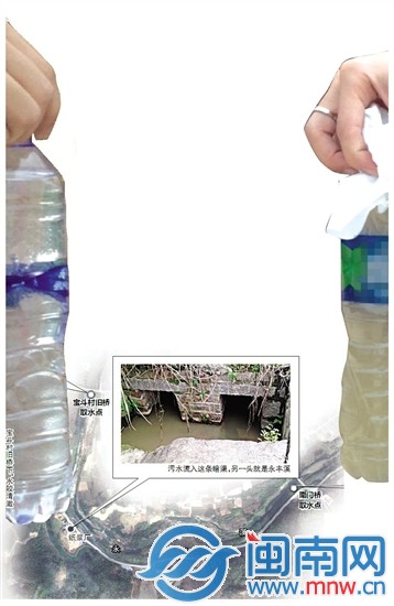 污水侵入永丰溪 死鱼一片3