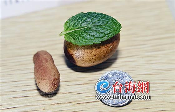 花生壳？是袖珍蛋