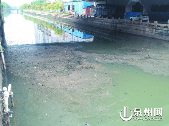 河道上满是油污垃圾，大煞风景