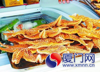 海星干