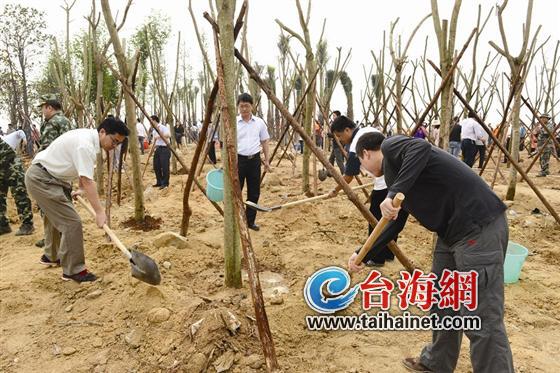 漳州开发区双鱼岛披“绿衣”
