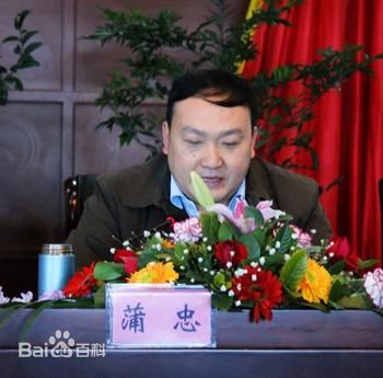 四川雅安常务副市长蒲忠简历