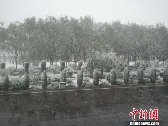 山西忻州和朔州突然下雪