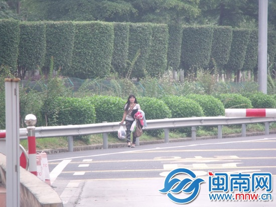 116公里高速路 20多处防护网受损2