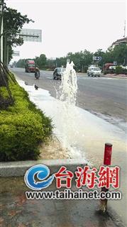 绿化带上现“喷泉”