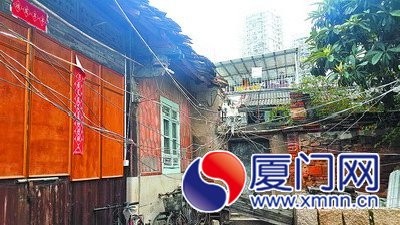 横穿蒋厝中庭的“蜘蛛网”。