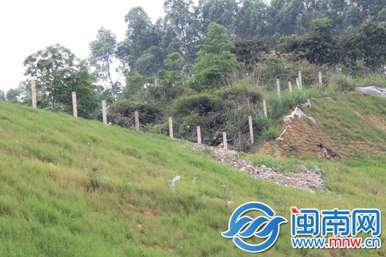 116公里高速路 20多处防护网受损2