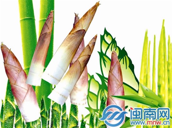 时令“笋” 鲜正浓