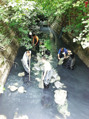 市区环城河、泗州河整治工程过半