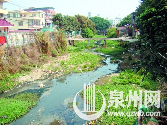 泉州小流域“赛水质”将交卷 超八成小流域水体水质 