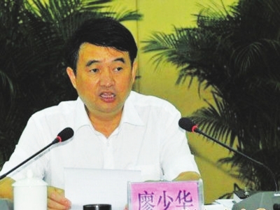 遵义原市委书记廖少华落马原因