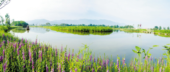 西溪亲水湿地公园