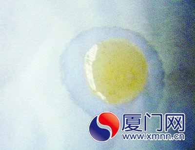 掺水蜂蜜（右）遇纸巾水渍渗开。