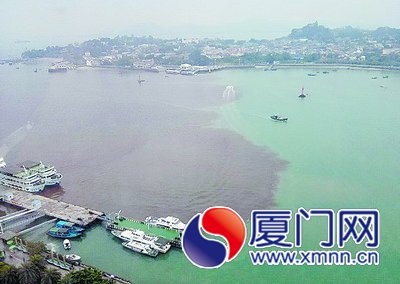 厦门赤潮染红鹭江