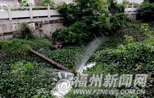 福光路内河上水管爆裂成为喷淋浇灌水葫芦
