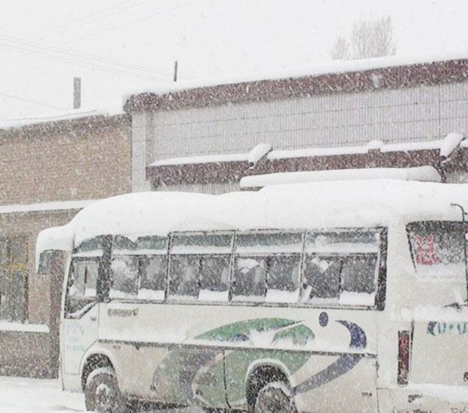 甘肃河西走廊5月份下大雪。