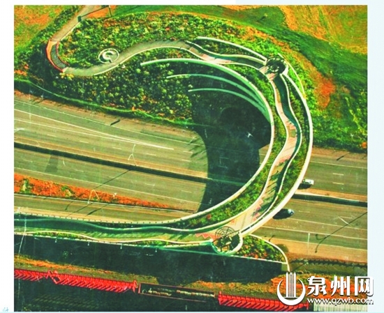 六号桥