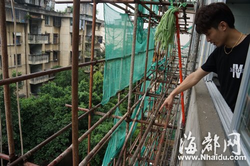 连辉小区外墙景观改造的脚手架紧挨居民家阳台