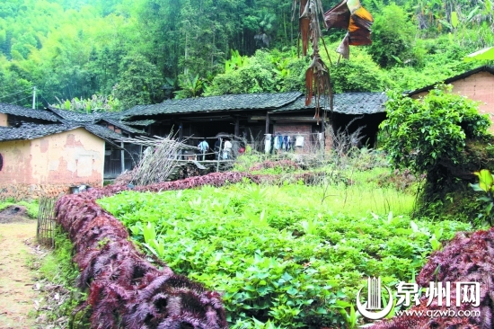 阿婆家的房子已破败不堪