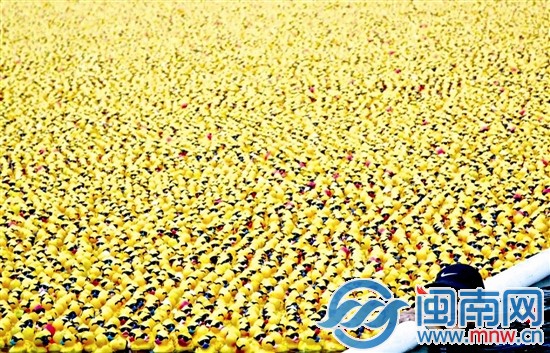 为公益而生，5万只小黄鸭一起漂流