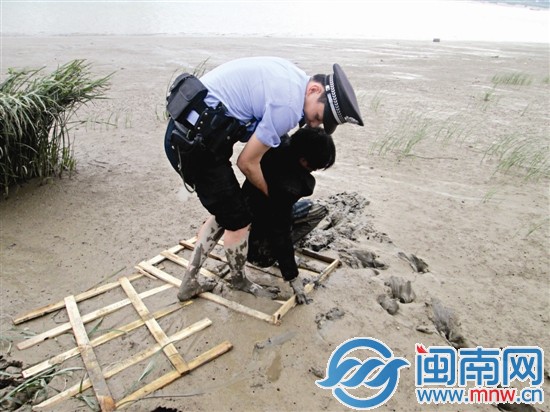 民警将木板铺在泥潭上，慢慢靠近苏某后将他拉出