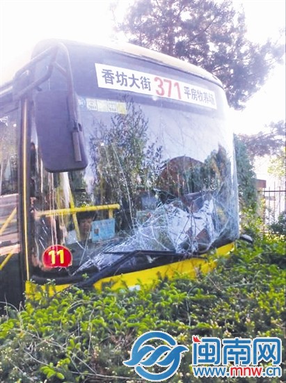 哈尔滨两辆公交车相撞 1
