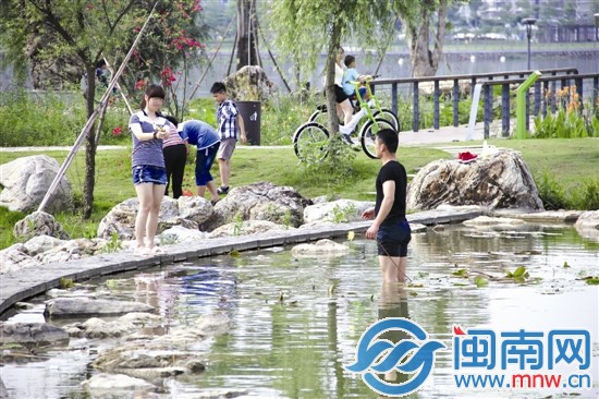 为博芳心 他入湖拔莲